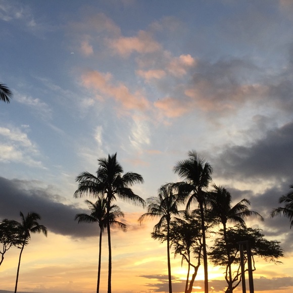 Meet your Posher, Kat - Picture 1 of 1